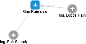 Blue Rain s.r.o. - náhled vizuálního zobrazení vztahů obchodního rejstříku