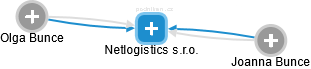 Netlogistics s.r.o. - náhled vizuálního zobrazení vztahů obchodního rejstříku