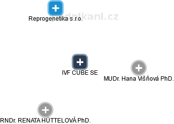 IVF CUBE SE - náhled vizuálního zobrazení vztahů obchodního rejstříku