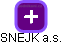 SNEJK a.s. - náhled vizuálního zobrazení vztahů obchodního rejstříku