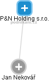P&N Holding s.r.o. - náhled vizuálního zobrazení vztahů obchodního rejstříku