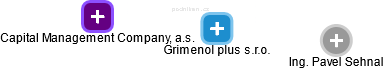 Grimenol plus s.r.o. - náhled vizuálního zobrazení vztahů obchodního rejstříku