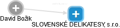 SLOVENSKÉ DELIKATESY, s.r.o. - náhled vizuálního zobrazení vztahů obchodního rejstříku