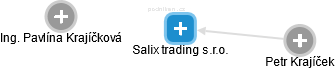 Salix trading s.r.o. - náhled vizuálního zobrazení vztahů obchodního rejstříku