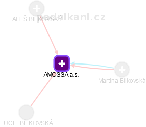 AMOSSA a.s. - náhled vizuálního zobrazení vztahů obchodního rejstříku