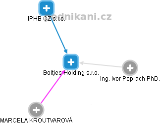 Boltjes Holding s.r.o. - náhled vizuálního zobrazení vztahů obchodního rejstříku