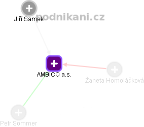 AMBICO a.s. - náhled vizuálního zobrazení vztahů obchodního rejstříku