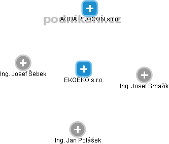 EKOEKO s.r.o. - náhled vizuálního zobrazení vztahů obchodního rejstříku