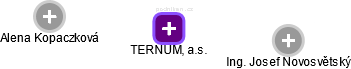 TERNUM, a.s. - náhled vizuálního zobrazení vztahů obchodního rejstříku