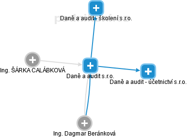 Daně a audit s.r.o. - náhled vizuálního zobrazení vztahů obchodního rejstříku