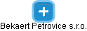 Bekaert Petrovice s.r.o. - náhled vizuálního zobrazení vztahů obchodního rejstříku