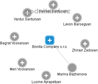 Bonita Company s.r.o. - náhled vizuálního zobrazení vztahů obchodního rejstříku
