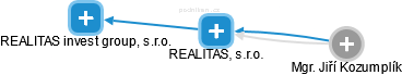 REALITAS, s.r.o. - náhled vizuálního zobrazení vztahů obchodního rejstříku
