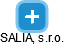 SALIA, s.r.o. - náhled vizuálního zobrazení vztahů obchodního rejstříku