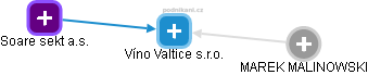 Víno Valtice s.r.o. - náhled vizuálního zobrazení vztahů obchodního rejstříku