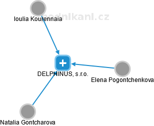 DELPHINUS, s.r.o. - náhled vizuálního zobrazení vztahů obchodního rejstříku