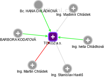 TOKOZ a.s. - náhled vizuálního zobrazení vztahů obchodního rejstříku