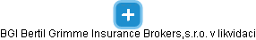 BGI Bertil Grimme Insurance Brokers,s.r.o. v likvidaci - náhled vizuálního zobrazení vztahů obchodního rejstříku