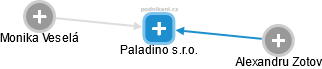 Paladino s.r.o. - náhled vizuálního zobrazení vztahů obchodního rejstříku
