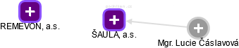 ŠAULA, a.s. - náhled vizuálního zobrazení vztahů obchodního rejstříku