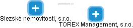 TOREX Management, s.r.o. - náhled vizuálního zobrazení vztahů obchodního rejstříku