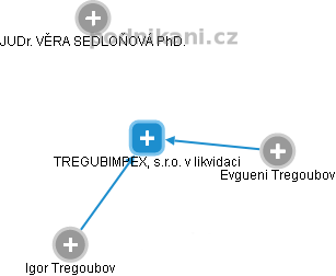 TREGUBIMPEX, s.r.o. v likvidaci - náhled vizuálního zobrazení vztahů obchodního rejstříku