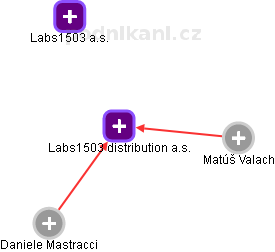 Labs1503 distribution a.s. - náhled vizuálního zobrazení vztahů obchodního rejstříku