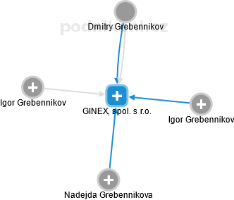 GINEX, spol. s r.o. - náhled vizuálního zobrazení vztahů obchodního rejstříku