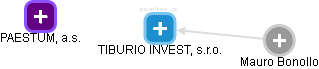 TIBURIO INVEST, s.r.o. - náhled vizuálního zobrazení vztahů obchodního rejstříku