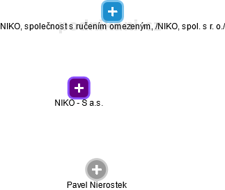 NIKO - S a.s. - náhled vizuálního zobrazení vztahů obchodního rejstříku
