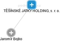 TĚŠÍNSKÉ JATKY HOLDING, s. r. o. - náhled vizuálního zobrazení vztahů obchodního rejstříku