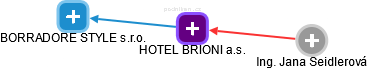 HOTEL BRIONI a.s. - náhled vizuálního zobrazení vztahů obchodního rejstříku