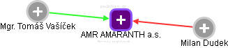 AMR AMARANTH a.s. - náhled vizuálního zobrazení vztahů obchodního rejstříku