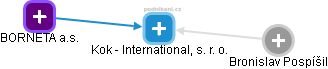 Kok - International, s. r. o. - náhled vizuálního zobrazení vztahů obchodního rejstříku