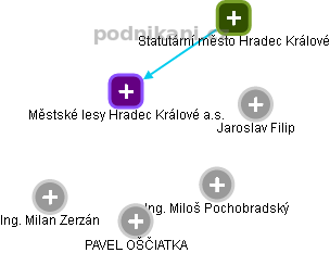 Městské lesy Hradec Králové a.s. - náhled vizuálního zobrazení vztahů obchodního rejstříku