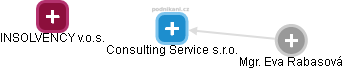 Consulting Service s.r.o. - náhled vizuálního zobrazení vztahů obchodního rejstříku