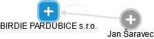 BIRDIE PARDUBICE s.r.o. - náhled vizuálního zobrazení vztahů obchodního rejstříku