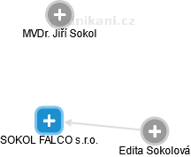 SOKOL FALCO s.r.o. - náhled vizuálního zobrazení vztahů obchodního rejstříku