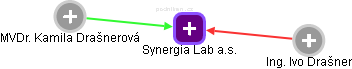 Synergia Lab a.s. - náhled vizuálního zobrazení vztahů obchodního rejstříku