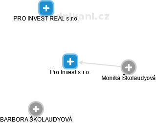 Pro Invest s.r.o. - náhled vizuálního zobrazení vztahů obchodního rejstříku