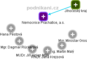 Nemocnice Prachatice, a.s. - náhled vizuálního zobrazení vztahů obchodního rejstříku