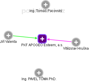 PKF APOGEO Esteem, a.s. - náhled vizuálního zobrazení vztahů obchodního rejstříku
