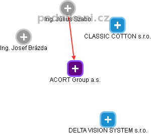 ACORT Group a.s. - náhled vizuálního zobrazení vztahů obchodního rejstříku