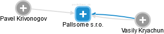 Pallsome s.r.o. - náhled vizuálního zobrazení vztahů obchodního rejstříku