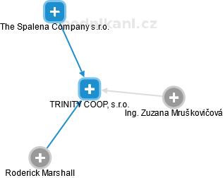 TRINITY COOP, s.r.o. - náhled vizuálního zobrazení vztahů obchodního rejstříku