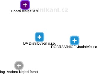 DV Distribution s.r.o. - náhled vizuálního zobrazení vztahů obchodního rejstříku