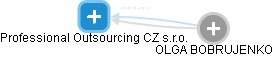 Professional Outsourcing CZ s.r.o. - náhled vizuálního zobrazení vztahů obchodního rejstříku