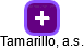 Tamarillo, a.s. - náhled vizuálního zobrazení vztahů obchodního rejstříku