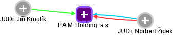P.A.M. Holding, a.s. - náhled vizuálního zobrazení vztahů obchodního rejstříku