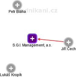 S.G.I. Management, a.s. - náhled vizuálního zobrazení vztahů obchodního rejstříku